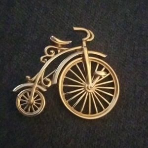 Bicycle pin